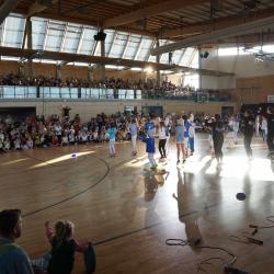 Hanisch Hpmodsc08431