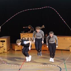 Hanisch Hpmodsc09008