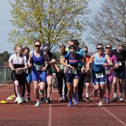 Hp Hanisch Modsc09197