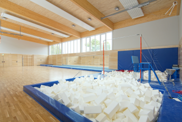 This image for Image Layouts addon